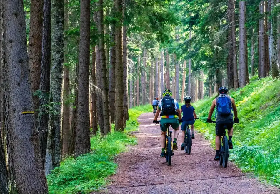 Les Carroz Village - Mountain biking