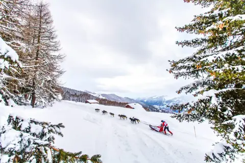La Plagne Ski Resort - Dog sledding (©vincent-piccerelle)