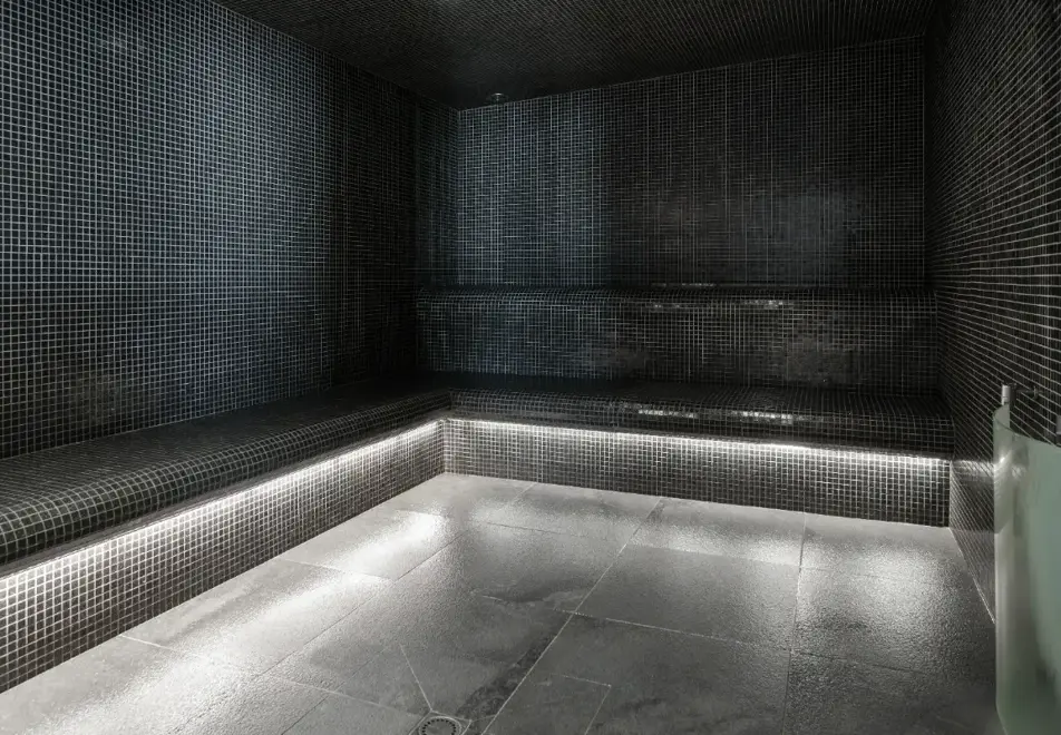 Roc Noir, La Rosiere (self catered apartments) - Steam room (©Samantha Henderson)