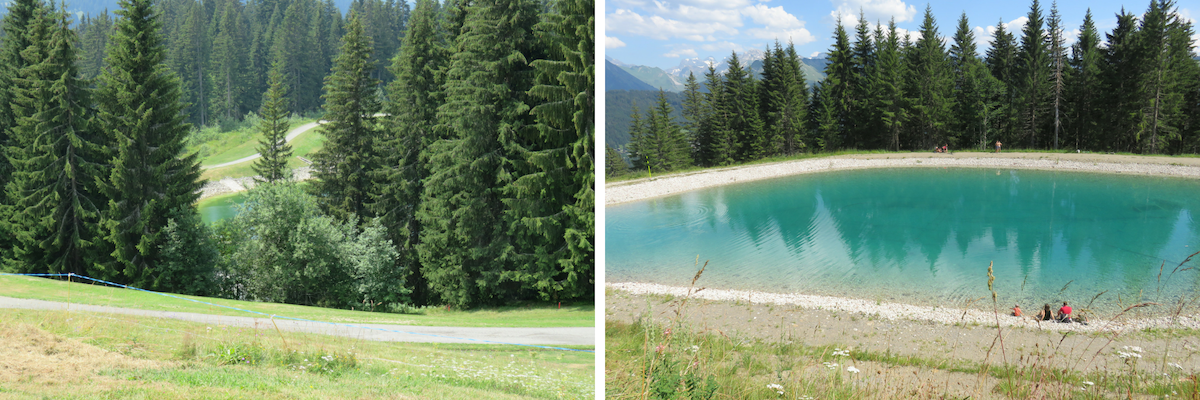 Client Review A summer holiday in Les Gets